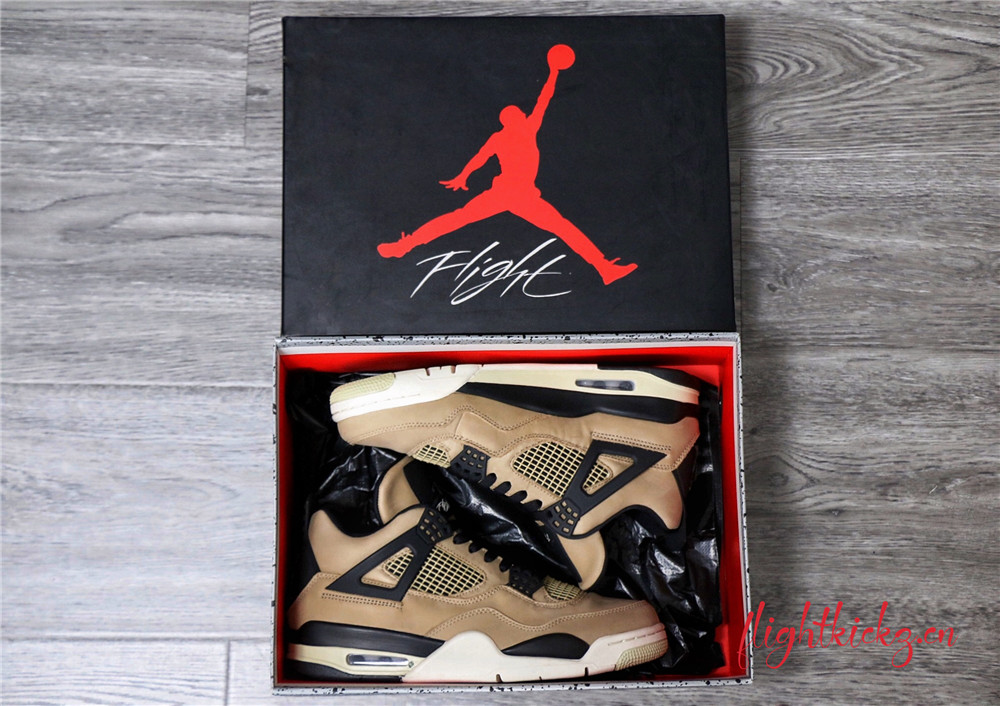 Air Jordan IV 4 Retro Mushroom 2019