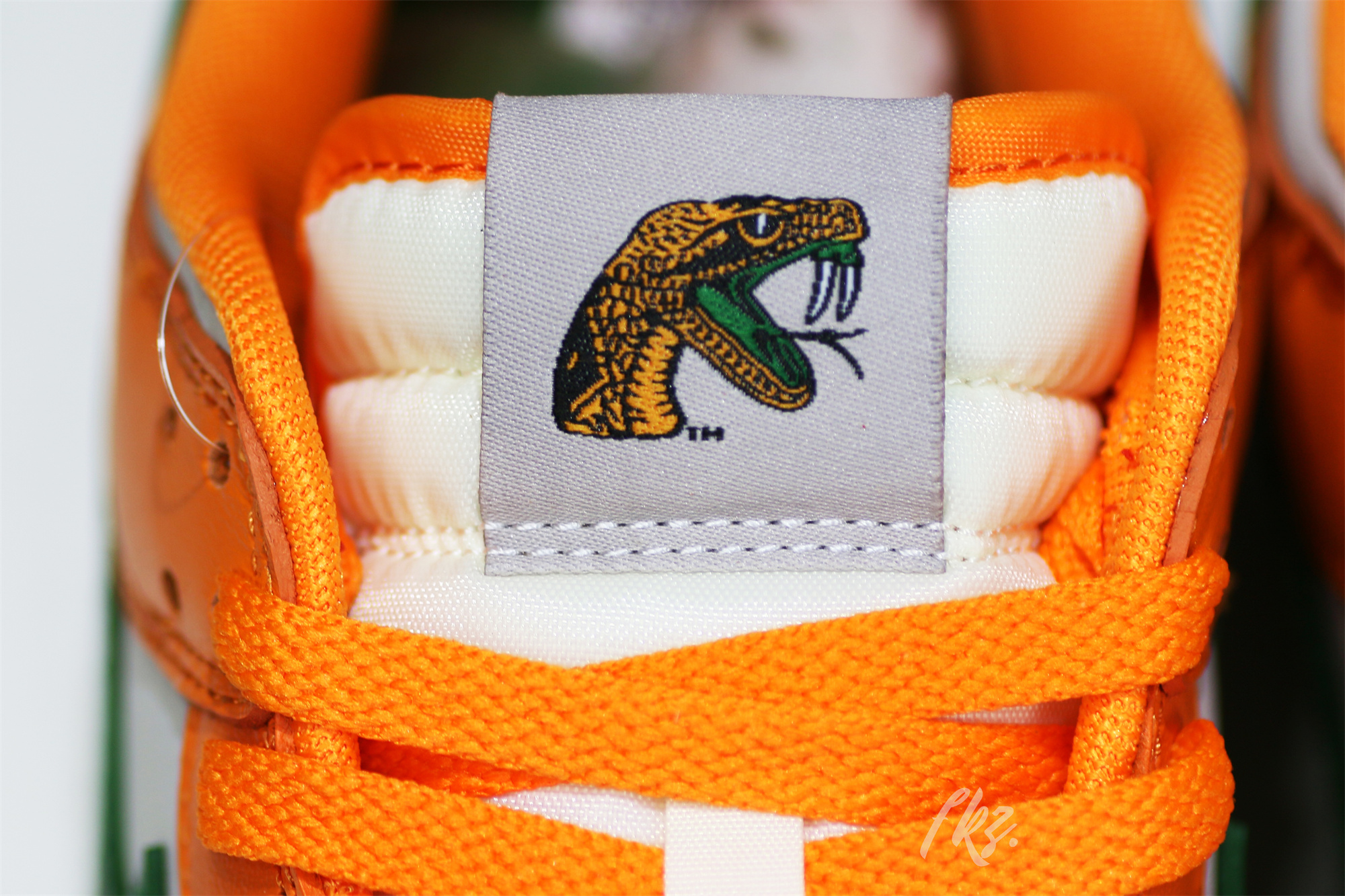 Nike Dunk Low Florida A&M University