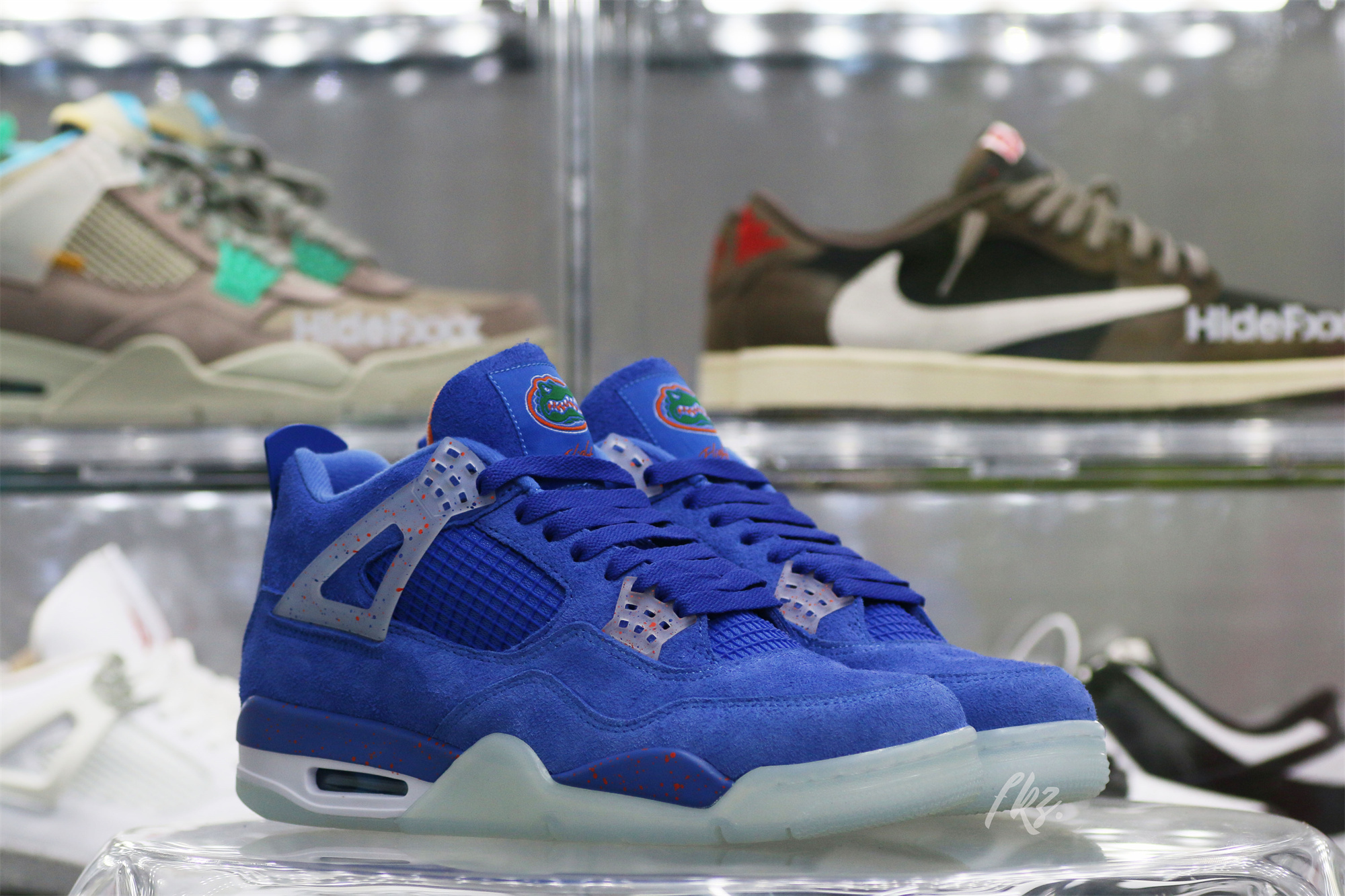 Air Jordan 4 Florida Gators PE