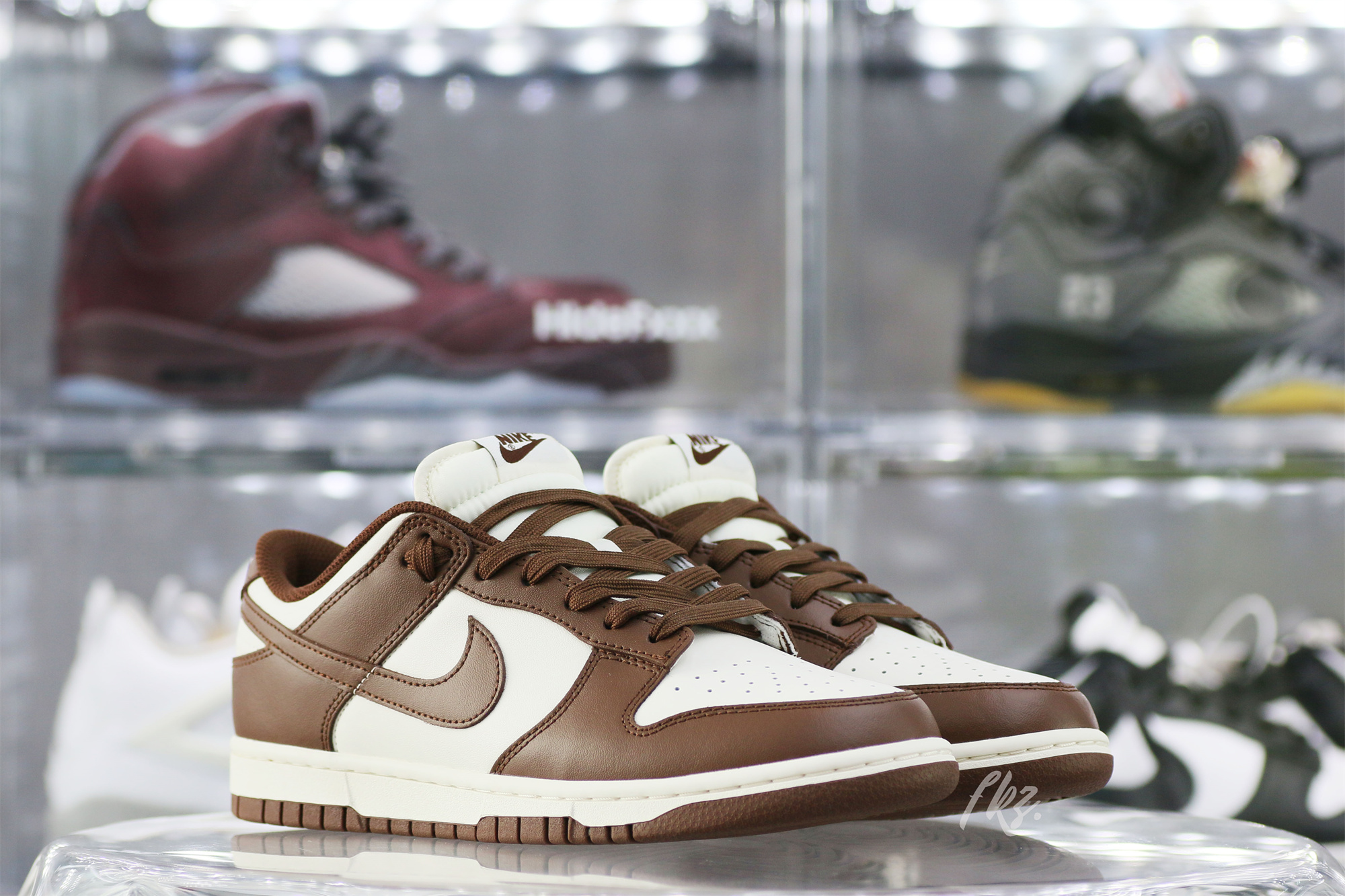 Nike Dunk Low Cocao Wow Brown Sail 2023