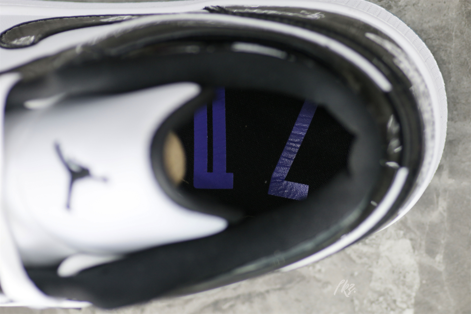 Air Jordan 1 Low SE Concord 2023