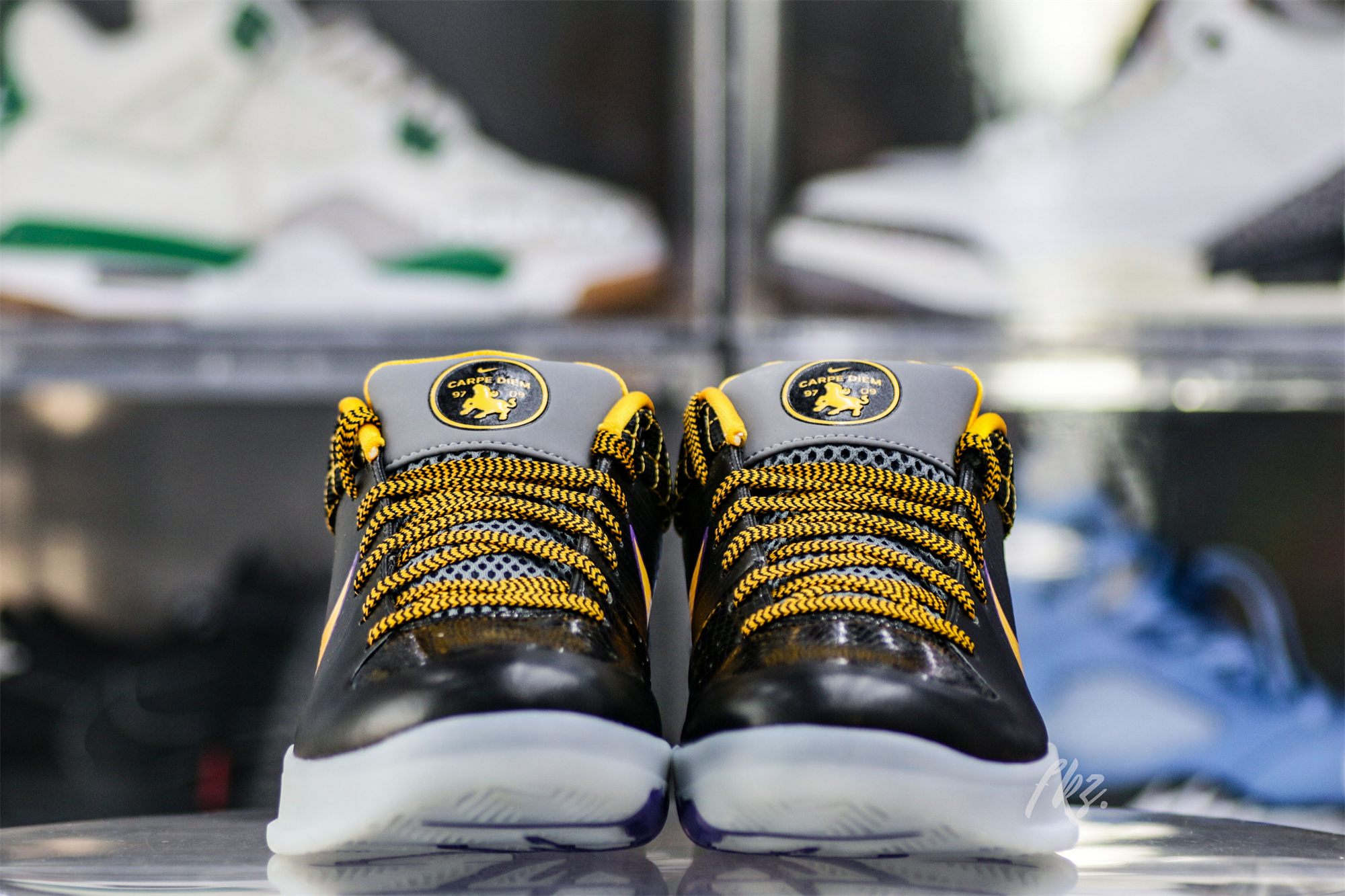 Nike Kobe 4 Protro Carpe Diem(A1 Batch)
