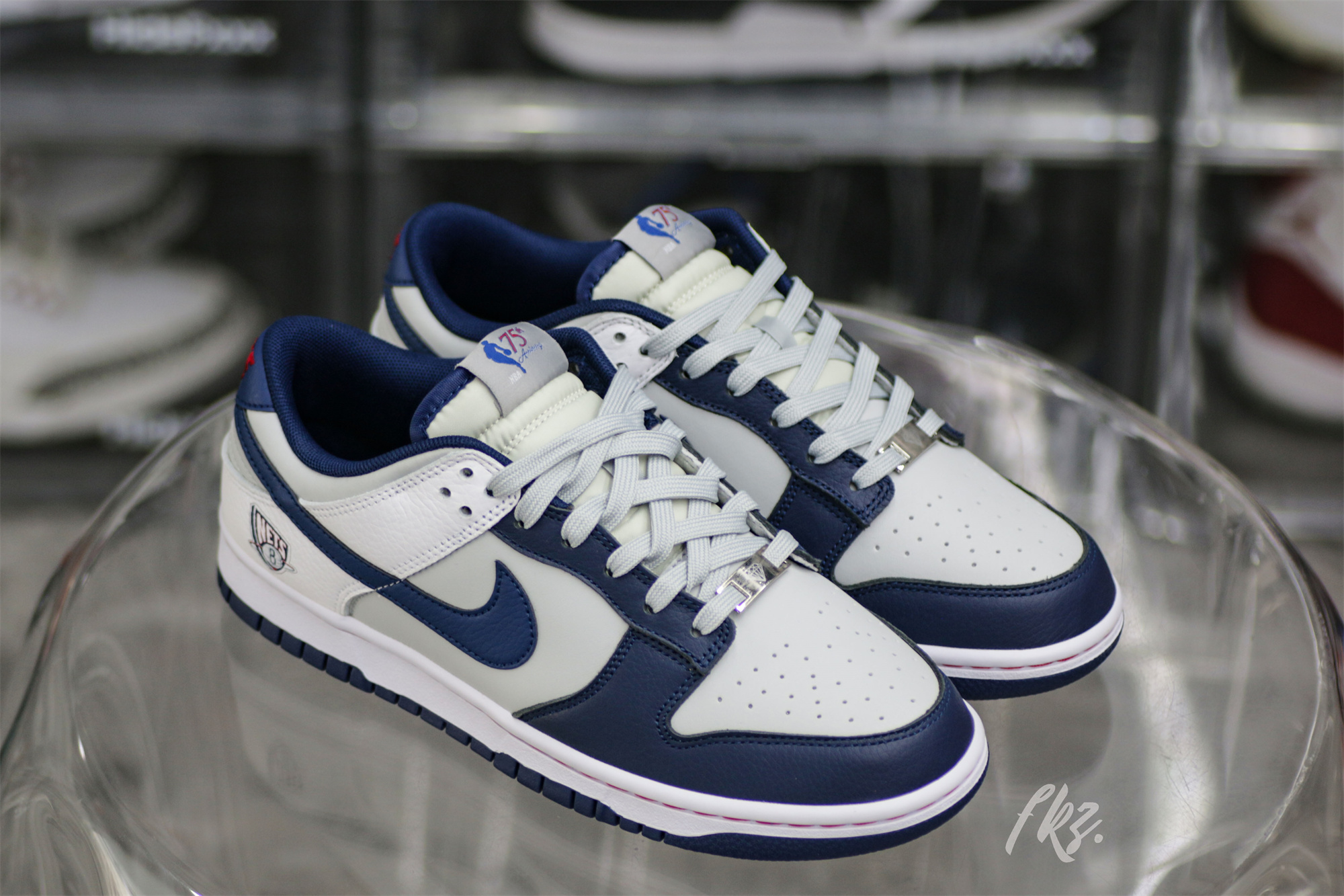 Nike Dunk Low EMB NBA 75th Anniversary Brooklyn Nets