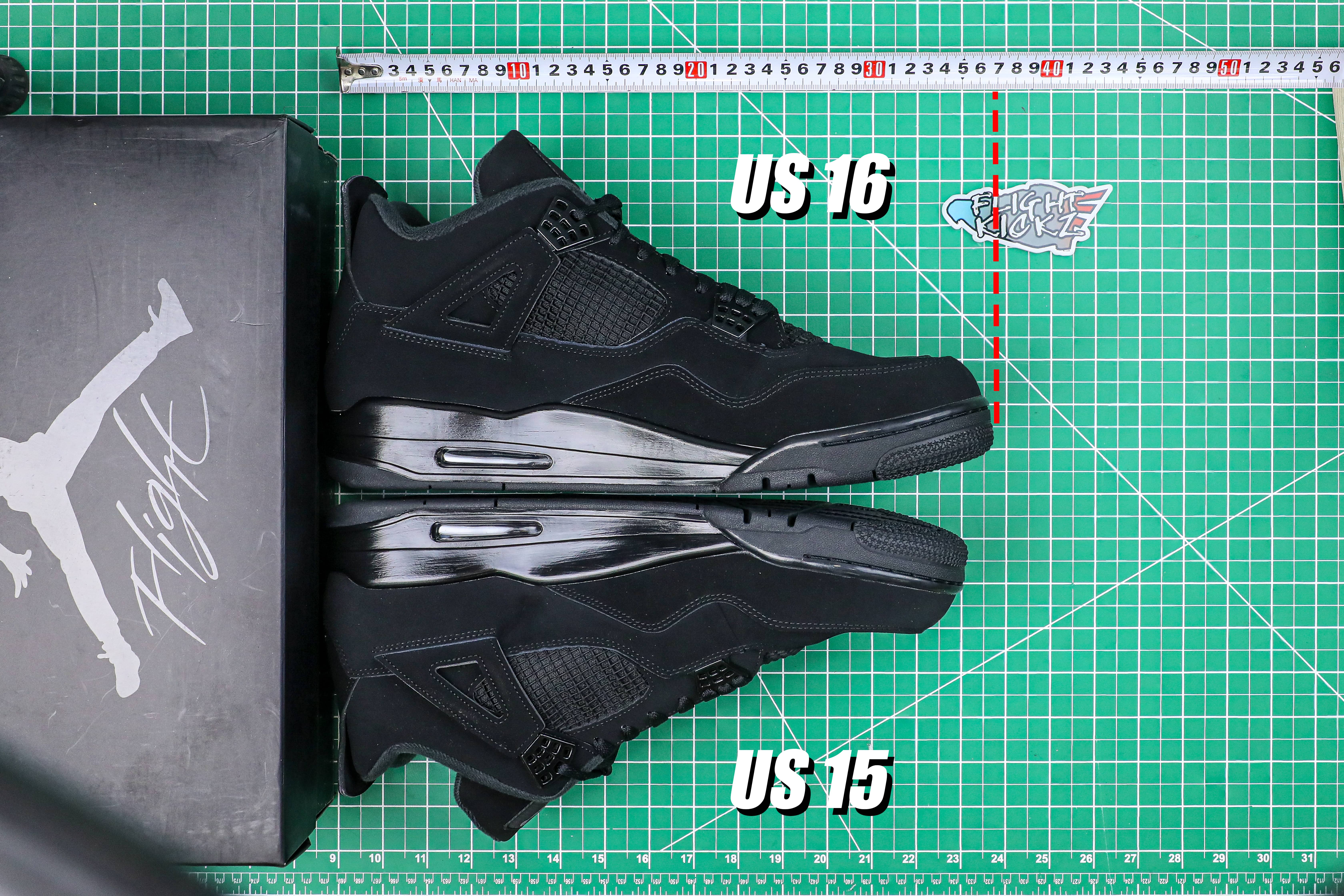 Air Jordan IV 4 Retro Black Cat 2020 (LN5 A1 Batch)