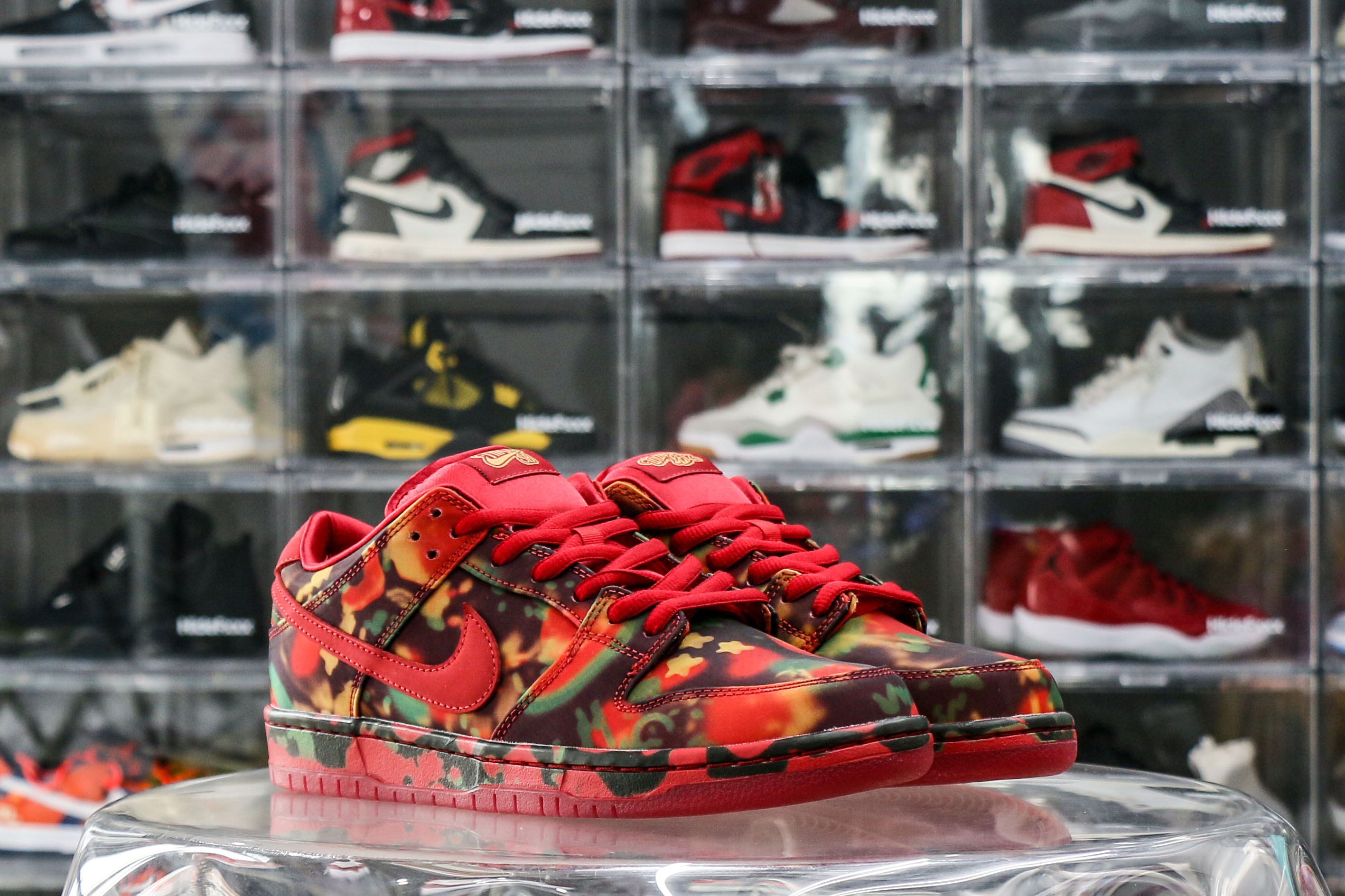 Nike SB Dunk Low The Wizard of Oz Poppy Field