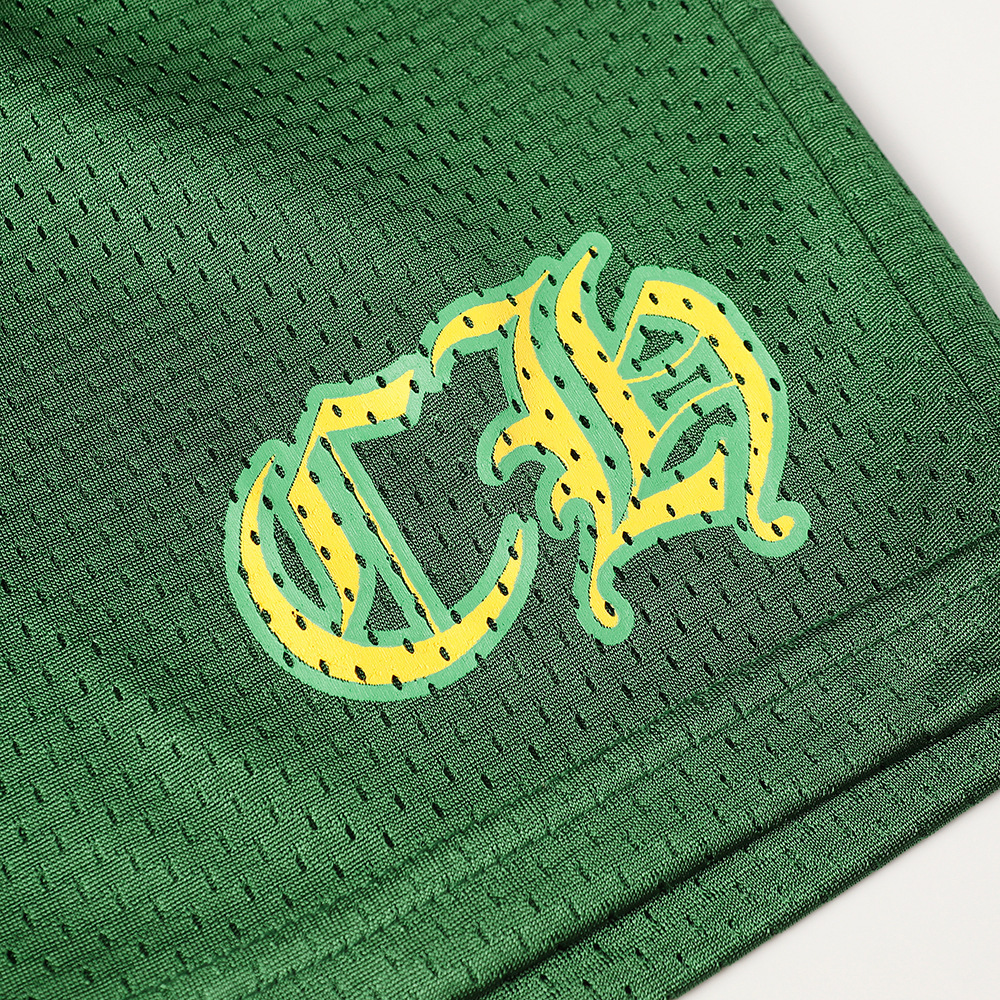 chr0me He**ts matty boy mesh warm up shorts