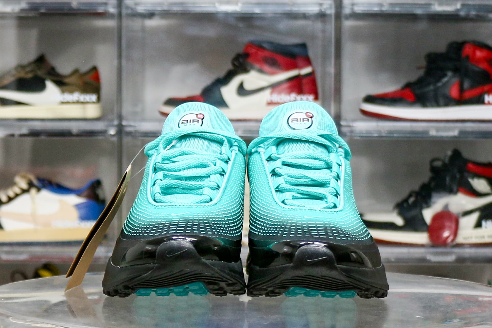 Nike Air Max Dn Premium Dusty Cactus Light Aqua Dynamic Turquoise Black